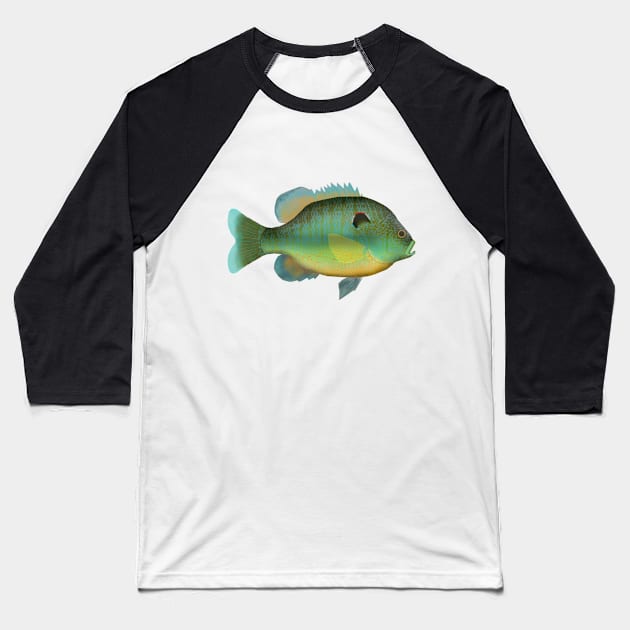 Northern Sunfish Baseball T-Shirt by FishFolkArt